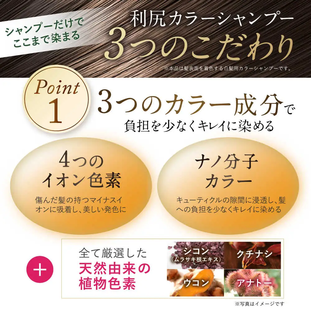 【全6回定期便】[色が選べる！2本セット]利尻カラーシャンプー＋利尻ヘアカラートリートメント 糸島市 / 株式会社ピュール [AZA040]