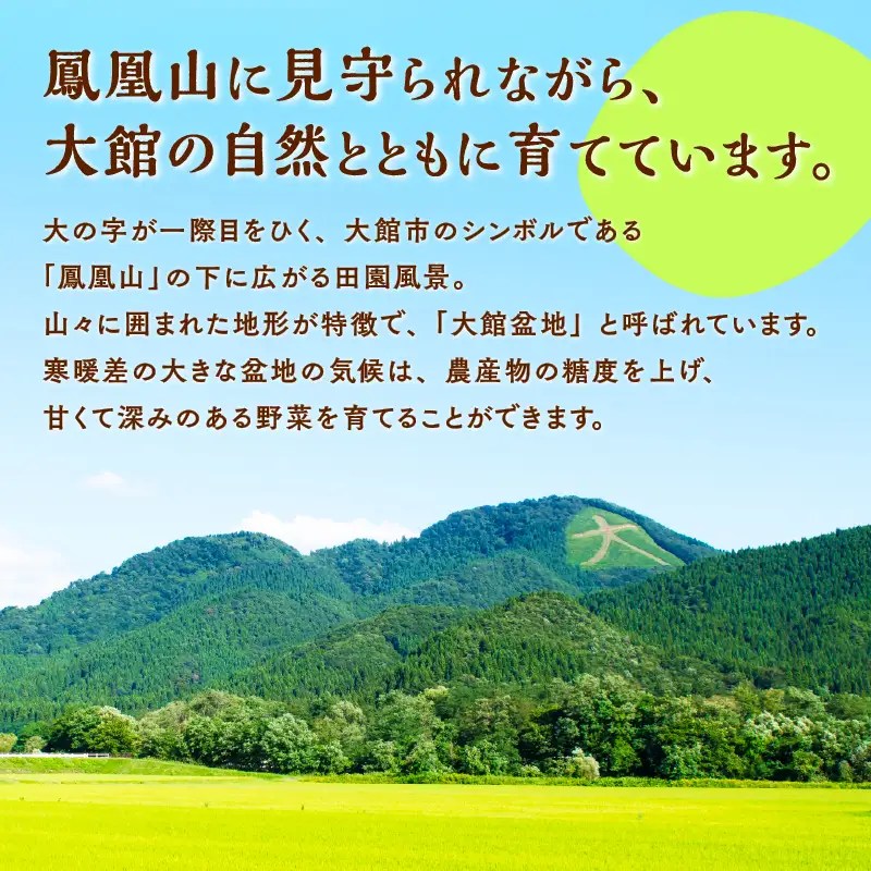 【令和8年産】 ホタルが舞う清らかな環境で育った「あきたこまち」8kg(2kg×4袋)【 アグリ川田】【ふるさと納税3.0】