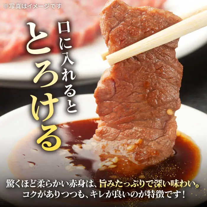 【全6回定期便】 特選 壱岐牛 モモ 500g （焼肉）《壱岐市》【太陽商事】[JDL035] 肉 牛肉 モモ 赤身 焼肉 BBQ 132000 132000円 12万円