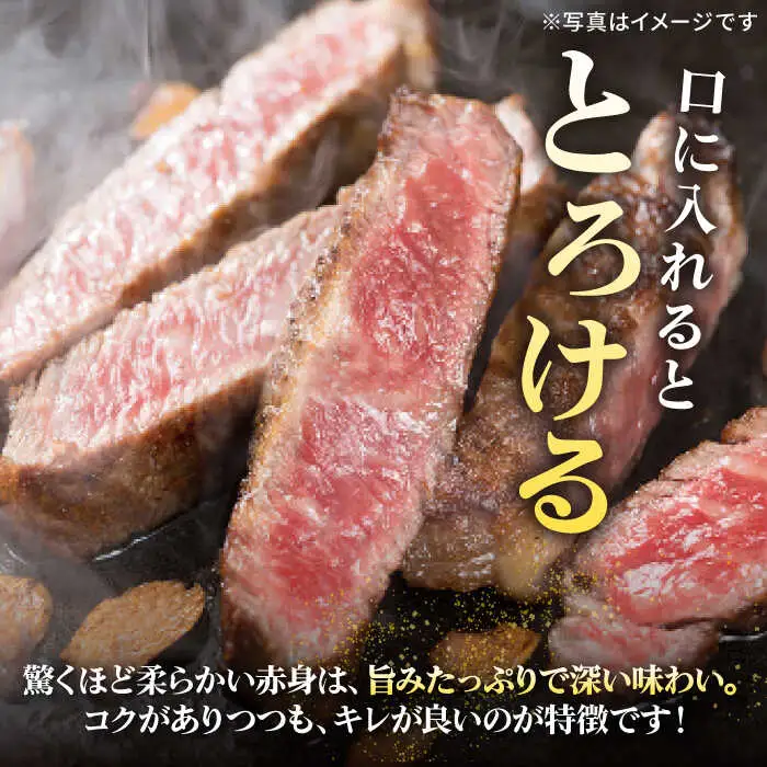 【全12回定期便】 特選 壱岐牛 サーロインステーキ 200g×5枚《壱岐市》【太陽商事 [JDL087] 冷凍配送 黒毛和牛 A5ランク 肉 牛肉 サーロイン ステーキ サーロインステーキ 赤身 焼肉 焼き肉 定期便 792000 792000円 焼肉用 九州