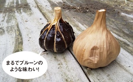 【先行予約！6月下旬より順次発送】まるでプルーン♪自家製 黒ニンニク 自然栽培 【浅田峠自然塾】 [EA13]