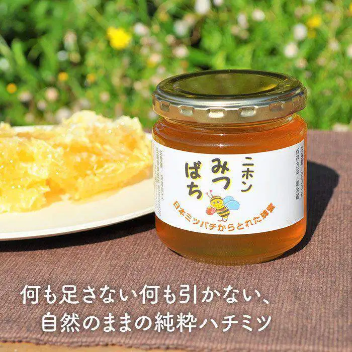 日本蜜蜂の純粋はちみつ 5個セット [MD02] 