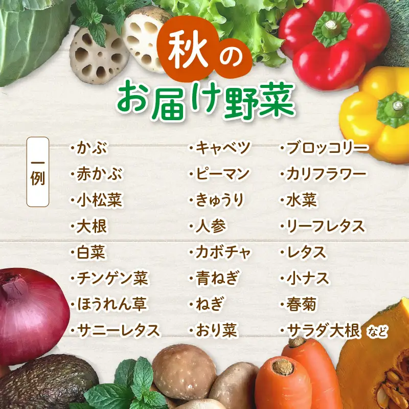 【先行予約】農家直送 秋野菜セット 1箱 7品目以上 《元気に育った新鮮野菜！》／ 福井 あわら市 季節 秋 野菜 ボックス BOX セット セレクト 農家 おまかせ 多品目 旬 詰め合わせ ※2026年10月下旬以降発送 [aw028-a010]