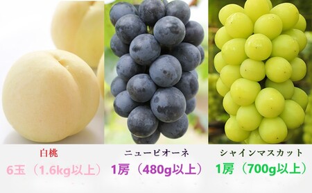 桃 ぶどう 定期便 2027年 先行予約 晴れの国 岡山 の フルーツ 定期便 3回コース もも モモ 葡萄 ブドウ 岡山県産 国産 セット ギフト 化粧箱入り 白桃 ニューピオーネ シャインマスカット 晴王 