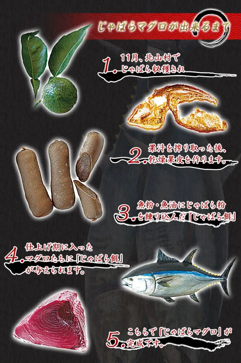 本マグロ（養殖）トロ＆赤身セット 500g まぐろ【nks110D】