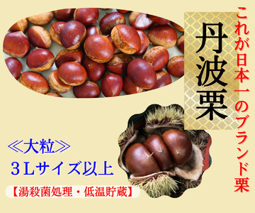 丹波栗 3L以上 2kg 〈丹波市産〉 大粒栗 果物