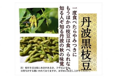 枝豆 枝付き 丹波 黒枝豆 2kg 枝豆
