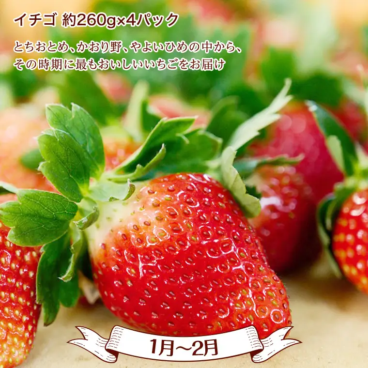 【 定期便 】【 2026年9月上旬から発送開始 全4回 】 数量限定 贅沢 フルーツ 満喫コース 旬の果実 旬のフルーツ くだもの 果実 トマト フルーツトマト スイカ いちご メロン 特選 贅沢 厳選 定期便  [BC057sa]