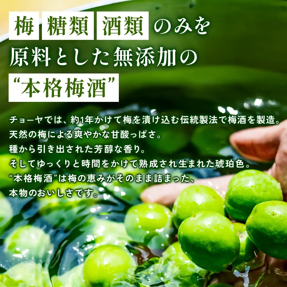 チョーヤ さらりとした梅酒　300ml×12本(1ケース)/梅酒 梅 ウメ お酒 リキュール 酒 紀州 和歌山 CHOYA 国産【kis106A】