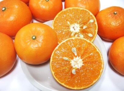 【R8年発送】早川農園の麗紅（れいこう）３kg 【R00233】