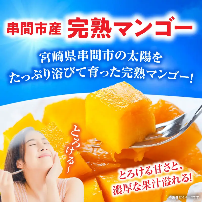 【生産者応援】訳あり！糖度13度以上！平均15度！ご家庭用 宮崎完熟マンゴー1.5～1.7 kg（2Lサイズ2玉入の約2倍！）_K005-019