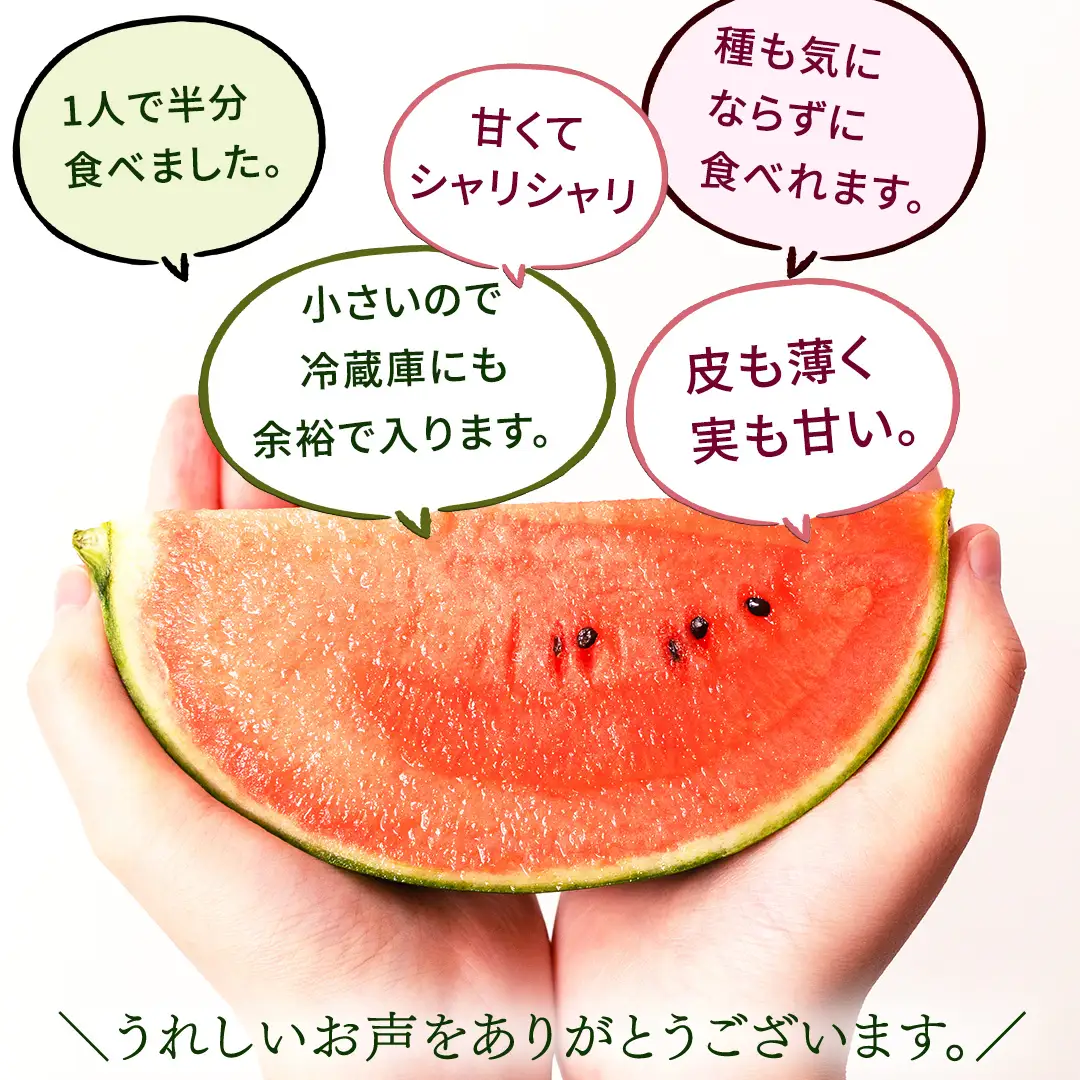 《 2027年 収穫分 》 訳あり タネが気にならない 小玉スイカ ピノ・ガール 1玉 先行予約 国産 KEK 小玉 スイカ すいか 小玉すいか こだますいか ピノガール 国産 西瓜 フルーツ 果物 くだもの 訳アリ 不揃い 農家直送 旬 甘い 人気 産直 昼めし旅 [BC058sa]