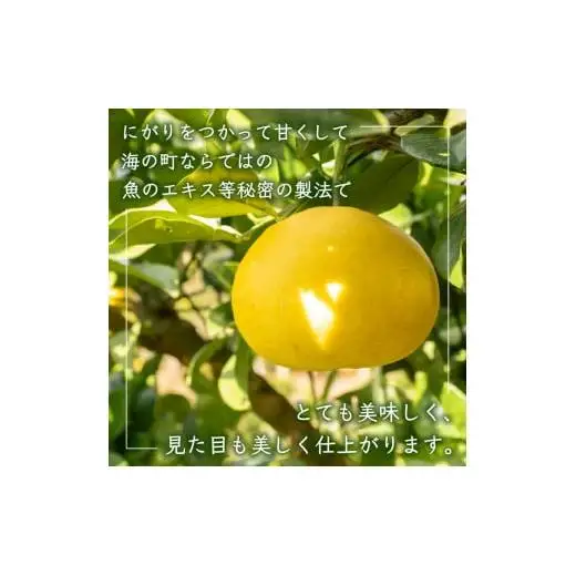 土佐文旦 訳あり 10kg 先行予約 2027年２月から順次発送 