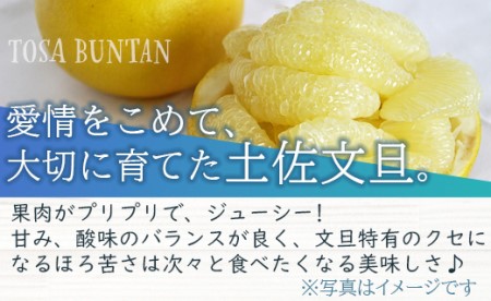間城農園 ちょこっと食べたい方におすすめ「文旦と黄金柑のプチBOX」合計約3kg【文旦 果物 文旦 フルーツ 文旦 デザート 文旦 高評価 文旦 人気 文旦 おすすめ】 ms-0089