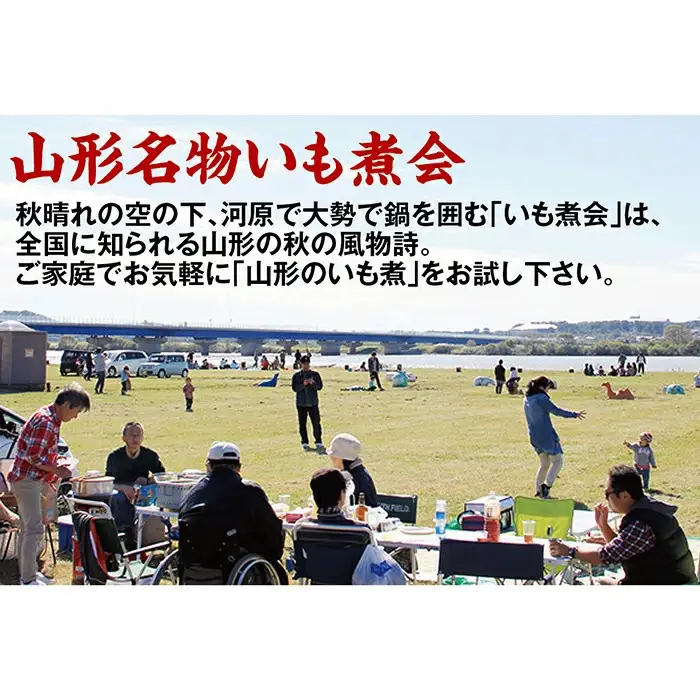 山形のいも煮 内陸味3袋と庄内味3袋 F2Y-4839