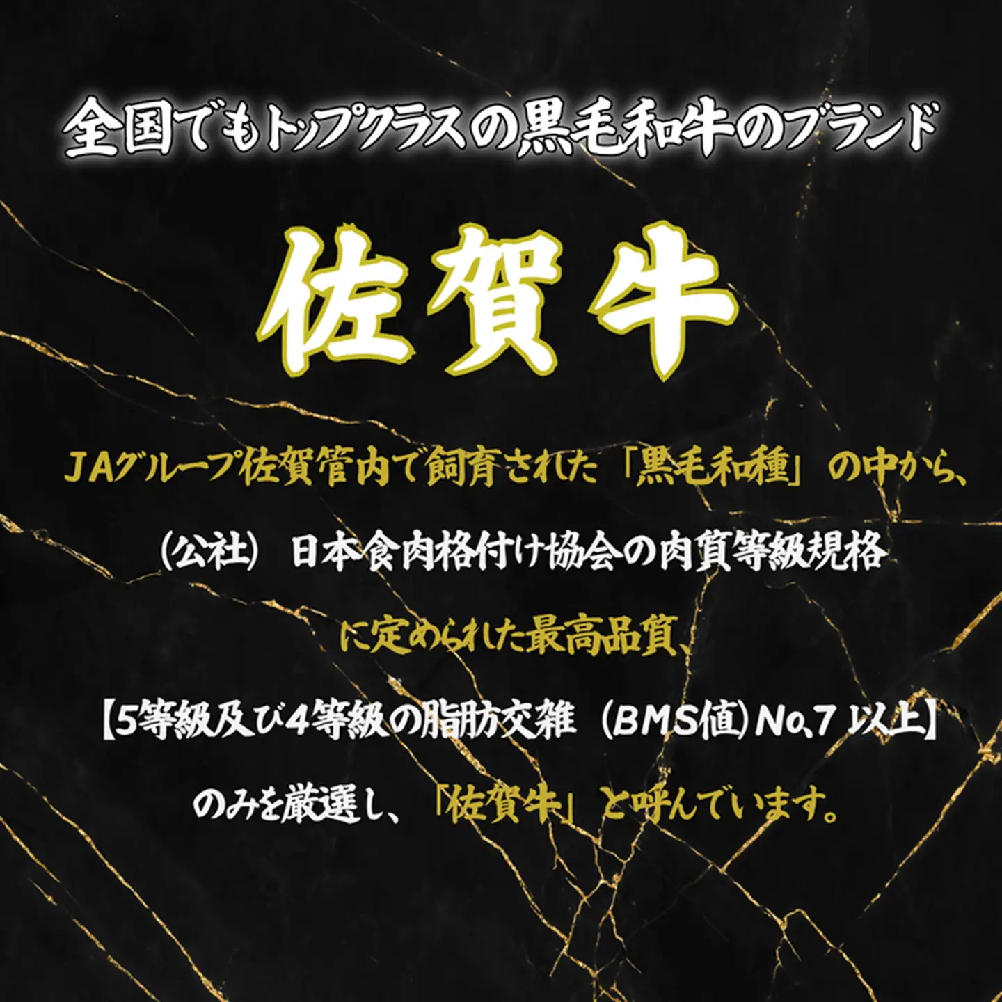 【定期便6回】佐賀牛 赤身焼肉セット 600g：C117-018
