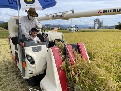 ピロール米　御殿場こしひかり　5kg ◇ ｜ 令和7年産 コシヒカリ 米 精米 白米 静岡県