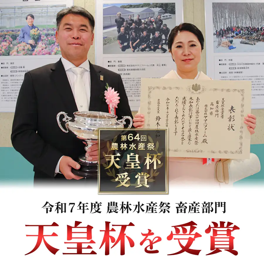 国産 鶏ささみ 1.1kg (220g×5P) 小分け 冷凍 高たんぱく 低脂質 よさこい尾鶏