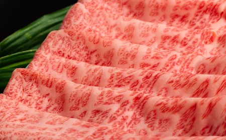 【全6回定期便】【A5ランク】長崎和牛 ロース スライス 800g 和牛 しゃぶしゃぶ すき焼き 焼肉 贈答 ギフト 贈り物 お中元 お歳暮 波佐見【肉のあいかわ】[NA85] 