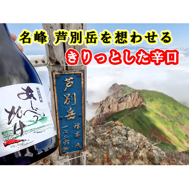 純米吟醸 720ml 2本 日本酒 あしべつだけ セット