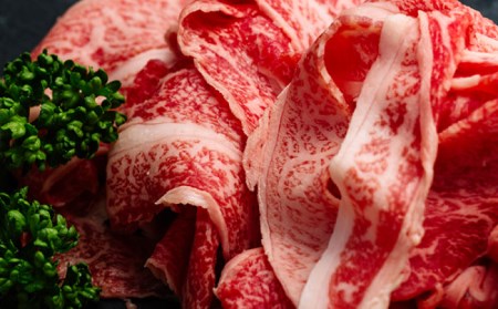 【全12回定期便】【訳あり】【最高級A5ランク】長崎和牛 切り落とし 700g しゃぶしゃぶ すき焼き 焼肉 贈答 ギフト 贈り物 お中元 お歳暮 訳アリ【肉のあいかわ】[NA89]