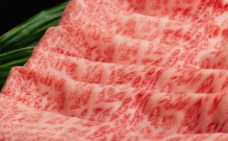 【全3回定期便】【A5ランク 】長崎和牛 肩ロース すき焼き・しゃぶしゃぶ500g  しゃぶしゃぶ すき焼き 焼肉 贈答 ギフト 贈り物 お中元 お歳暮【肉のあいかわ】[NA99]