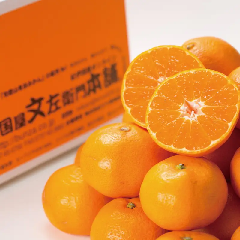 ブランド有田みかん【Ｌ】秀品10kg ／産地直送／薄皮で甘い美味しい和歌山県産／紀伊国屋文左衛門本舗　※2026年11月上旬～2027年1月中旬頃に順次発送予定（お届け日指定不可）【kstb141C】