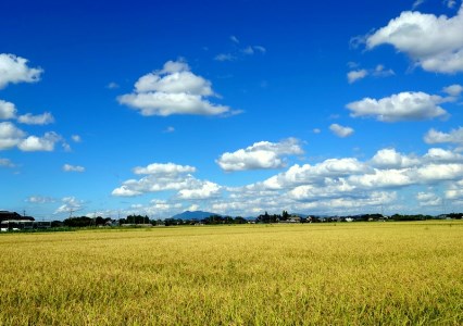 煌めく艶　令和8年 茨城県産 コシヒカリ 10kg (5kg×2) 【白米】※2026年9月下旬頃より順次発送