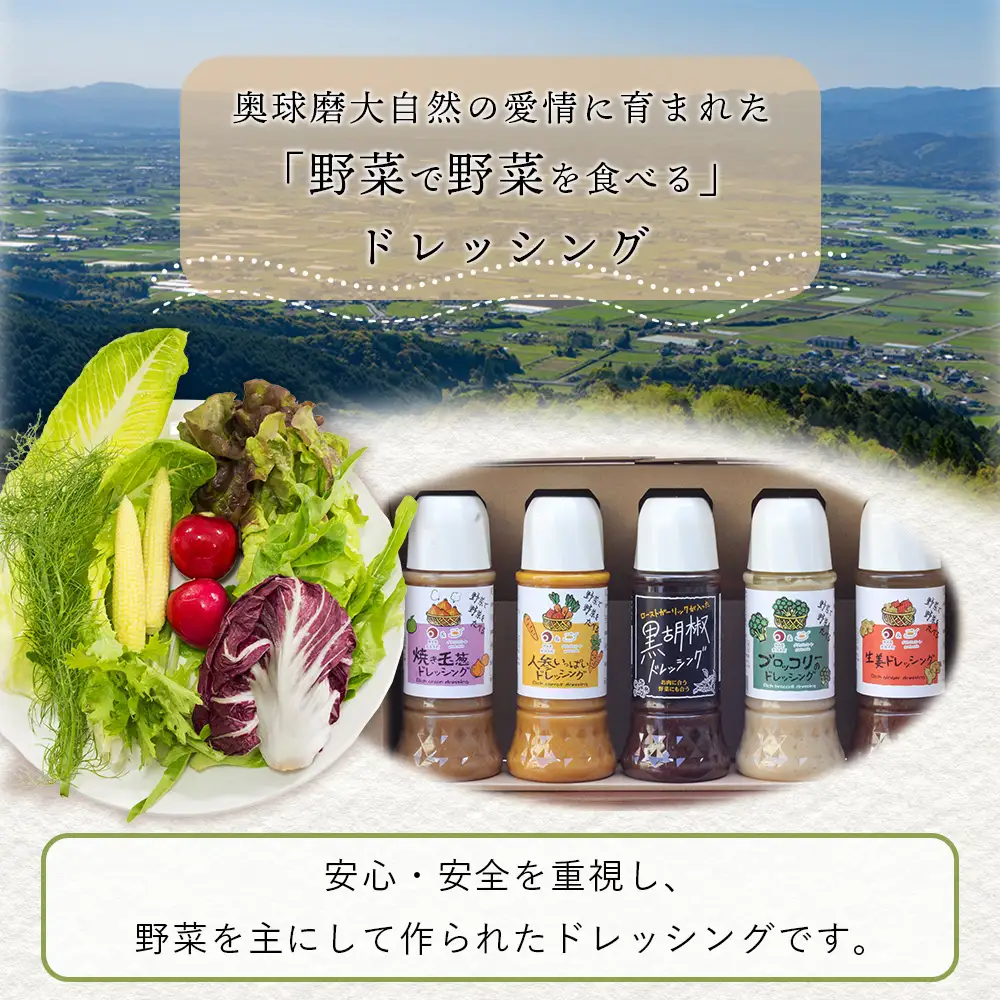 野菜で野菜を食べる ドレッシング 2本 Eセット ＜ 人参 / 黒胡椒 ＞計590ml サラダ や 肉料理 にも 詰め合わせ 熊本県 多良木町 調味料 024-0670
