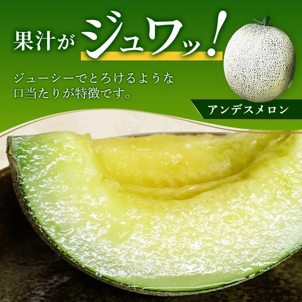 【2027年5月上旬発送開始】【先行予約】熊本県産 アンデスメロン 2玉 約2.5kg以上 ご予約 令和9年 先行 メロン めろん フルーツ 果物 くだもの アンデス 甘い ジューシー 果実 糖度14度以上 旬の果物 旬のフルーツ 旬 熊本 熊本県 多良木 4月終了 083-0697