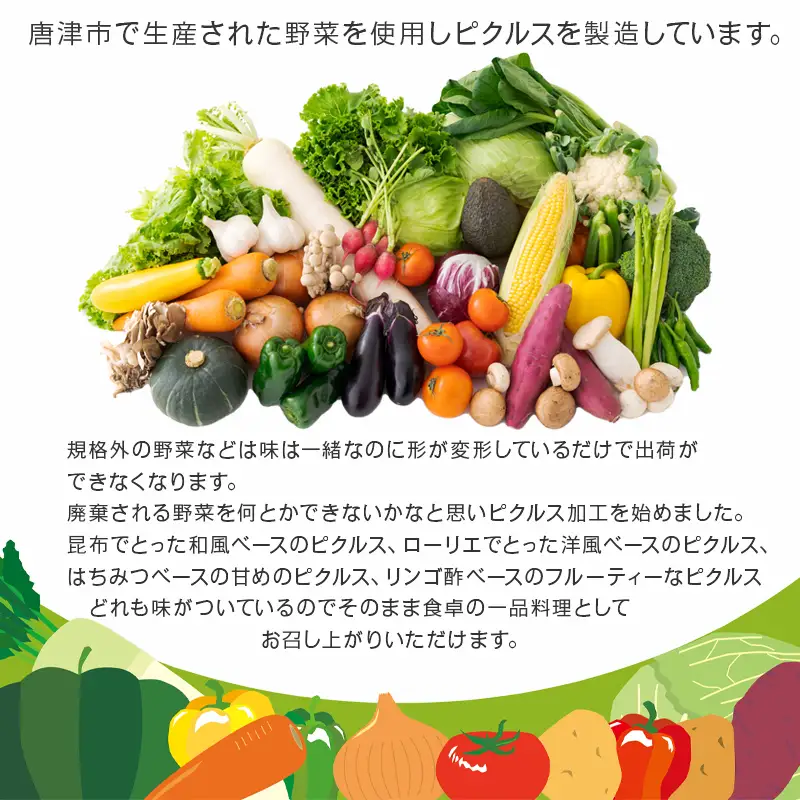 fun おまかせ ピクルス4本セット 各100g×4本