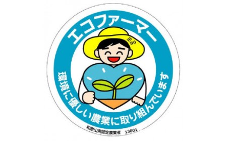 採れたてタネなし柿　3Ｌサイズ28個入7.5kg箱 ※10月中旬～下旬頃に順次発送（日付指定不可）フルーツ 果物 くだもの 食品 人気 おすすめ 送料無料 【art021A】