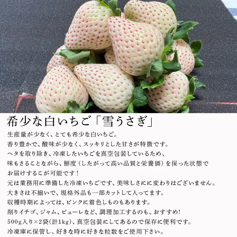 唐津産 冷凍白いちご「雪うさぎ」500g×2袋(合計1kg)