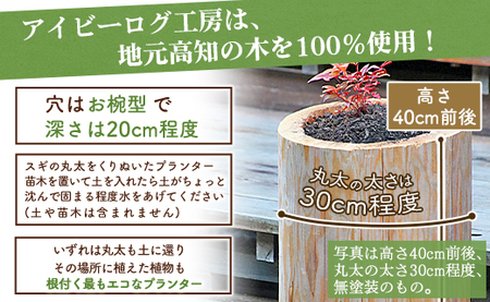 アイビーログ工房 土に還るプランター(丸太でできたプランター) ar-0010