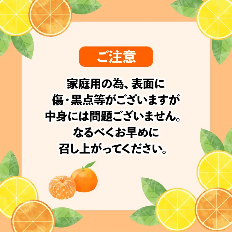 【みかん】いよかん約7.5kgWFみかん|B012-024006