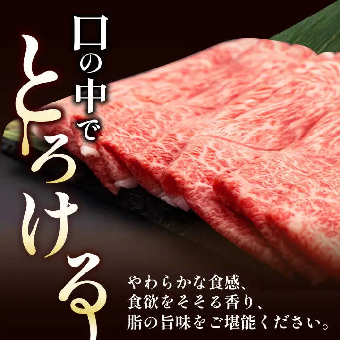【全12回定期便】 ウデ モモ スライス 500g 長崎和牛 A4 A5ランク【肉のふじた】 [AG07] スライス 肉 牛肉 すき焼き用 しゃぶしゃぶ用