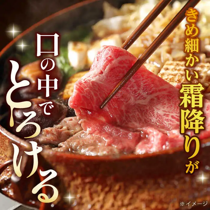 【全3回定期便】 リブロース サーロイン 500g 希少部位 長崎和牛 A4?A5ランク【肉のふじた】 [AG11] リブロース サーロイン 肉 牛肉 しゃぶしゃぶ すき焼き 定期便