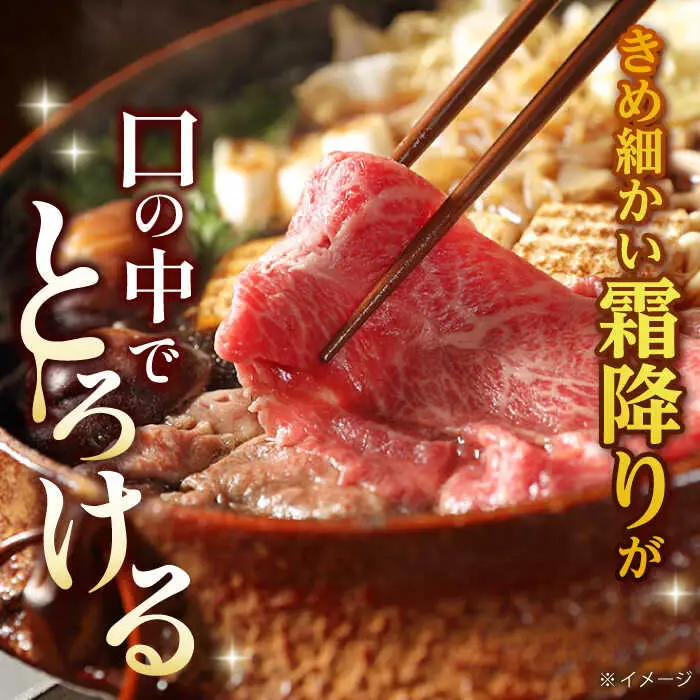 【全12回定期便】 リブロース サーロイン 500g 希少部位 長崎和牛 A4?A5ランク【肉のふじた】 [AG13] 肉 牛肉 ローススライス リブロース サーロイン しゃぶしゃぶ すき焼き 定期便