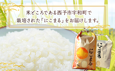 ＜令和7年産 西予市宇和町産 にこまる 約10kg＞ お米 コメ 白米 精米 単一原料米 ご飯 晩稲 大粒 精米 ご飯 ライス 穀物 ニコマル 特産品 愛媛県産 西予市産 宇和町産 三好フク 愛媛県 西予市【常温】『1か月以内に順次出荷予定』UMH0005