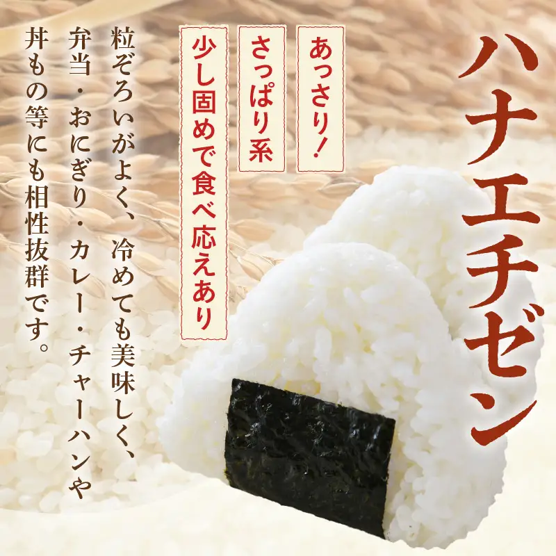 【先行予約】【令和8年産・新米】【一等米】＜定期便3回＞ ハナエチゼン 精米 10kg × 3回（30kg）《発送直前精米！》 ／ 福井県産 ブランド米 ご飯 白米 お米 コメ 新鮮 大賞 受賞 新米 ※2026年9月上旬以降順次発送予定 [aw012-d009]