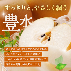 《2026年秋出荷》味が濃い梨 豊水約2.5kg（5～8玉） F24R-120