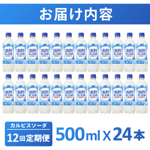 【定期便】カルピスソーダ（500mL×24本）〔12回配送〕156-002