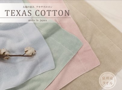 TEXSAS COTTON 100% タオルケット シングル ブルー 1枚 SNT-20TXBL [3229]