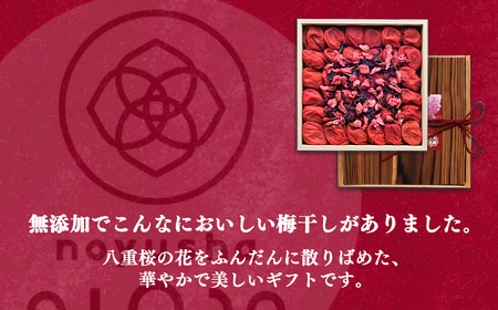 南高 さくら 梅干 500ｇ 杉箱入り 農悠舎 の 厳選素材 ｜梅干し 有限会社 農悠舎 