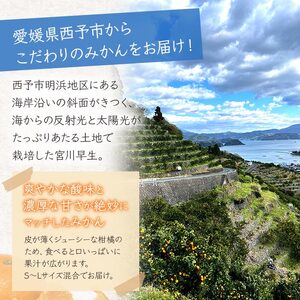 浜風みかん 宮川早生 ５kg OHI0001