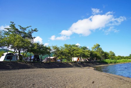 sotosotodays CAMPGROUNDS 山中湖みさき（区画・フリー・林間フリーサイト） ふるさと納税 キャンプ キャンプ場 フリー 区画 林間 ソロキャンプ 山梨県 山中湖 送料無料 YAE001