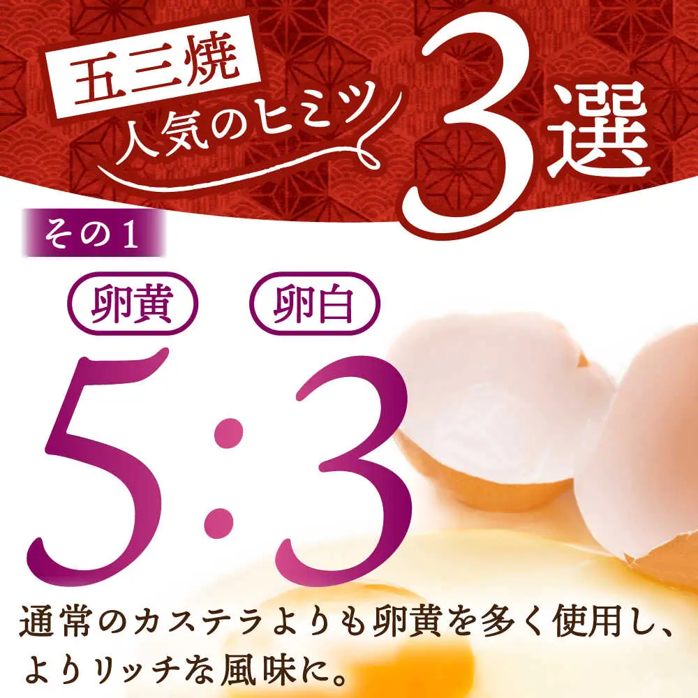 長崎カステラ 五三焼 ハニー 500g×2本 [SBI011] カステラ