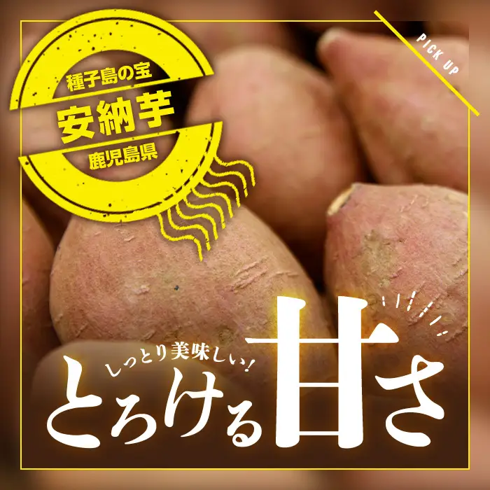 数量限定 安納芋 5kg 種子島 さつまいも 野菜 K-GAP 【砂坂展恵】n173