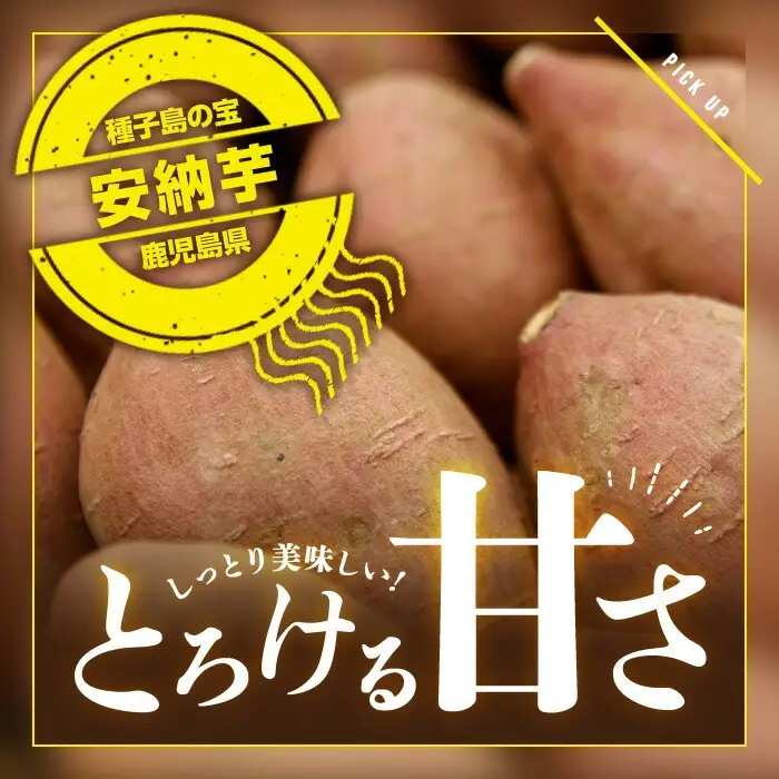 安納芋 Mサイズ・10kg 紅 さつまいも 数量限定 種子島産 【JA種子屋久】n046