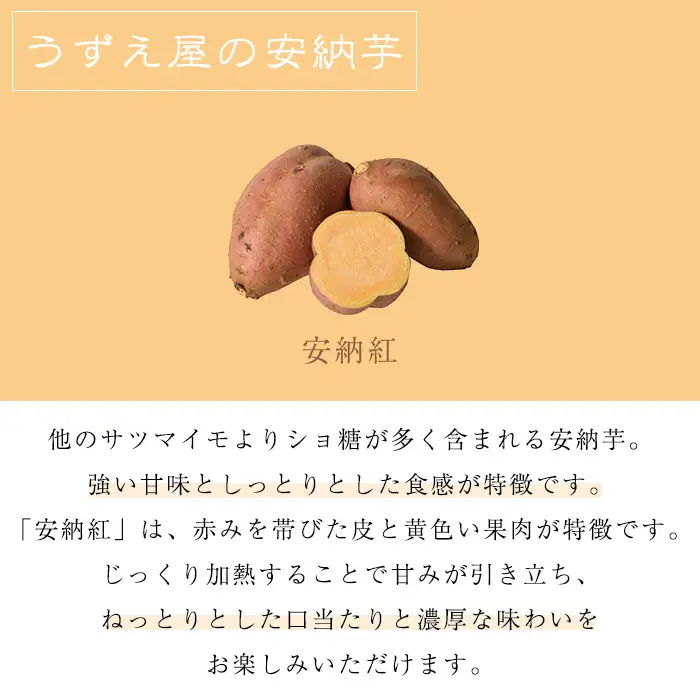 安納芋 さつまいも 紅 6kg 種子島産 【うずえ屋】n480